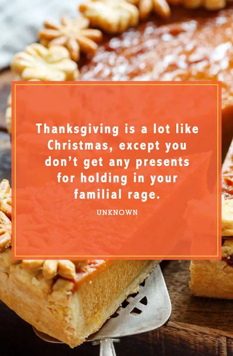 50 Funny Thanksgiving Quotes Free Download 2023 Quotesproject