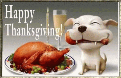 happy thanksgiving dog gif