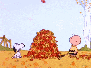 happy thanksgiving peanuts gif