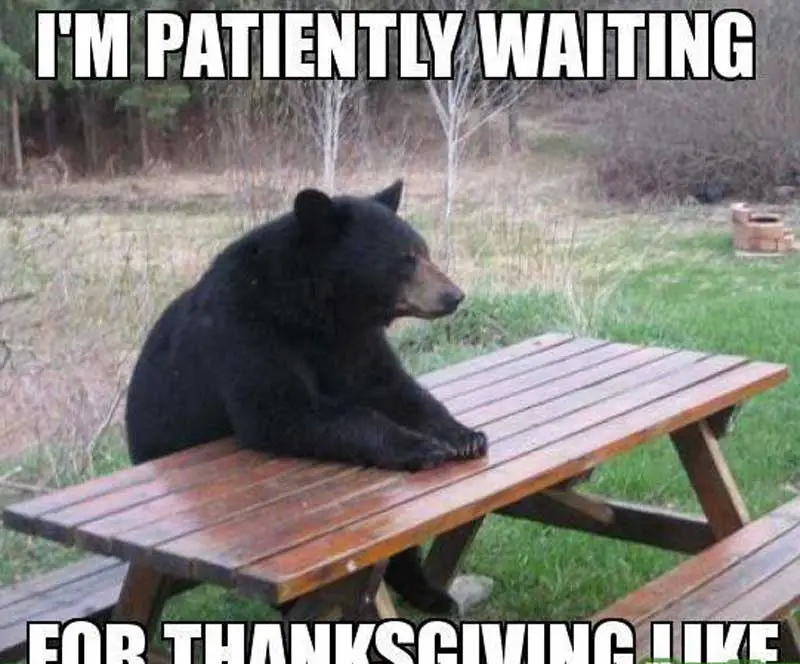 inappropriate thanksgiving memes