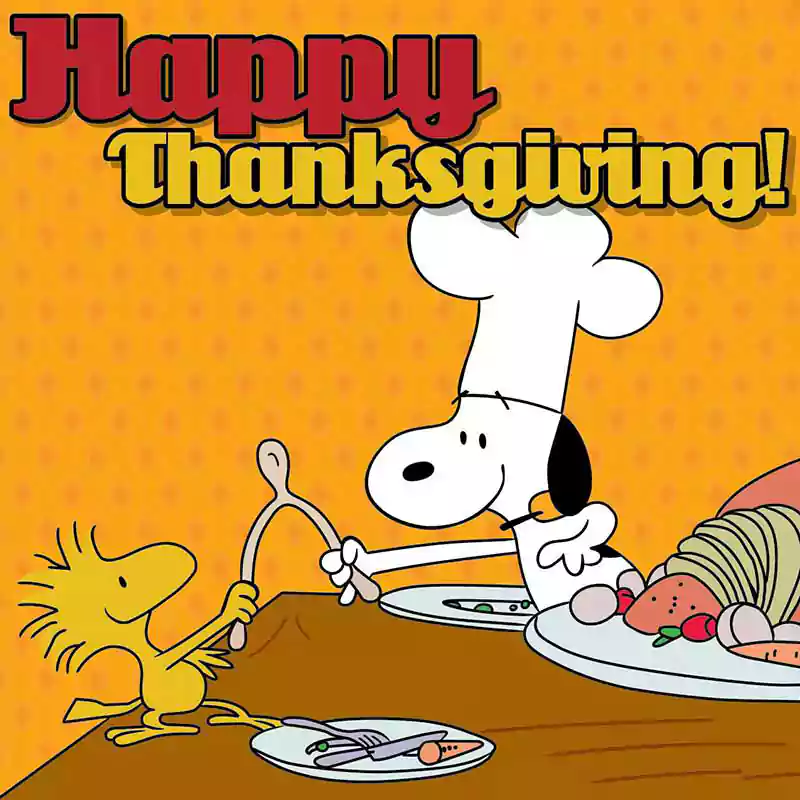 peanuts thanksgiving background