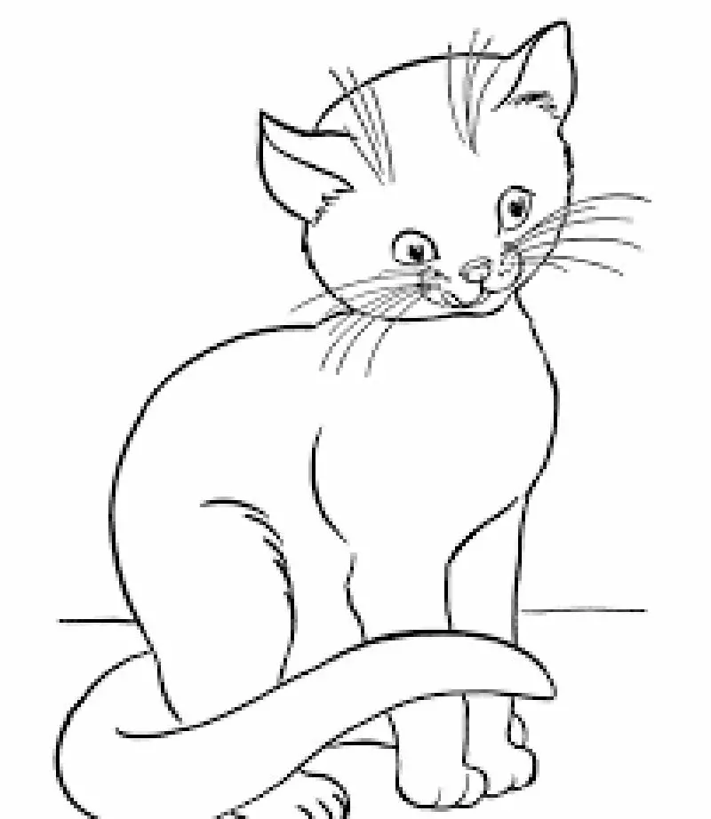 thanksgiving cat coloring pages