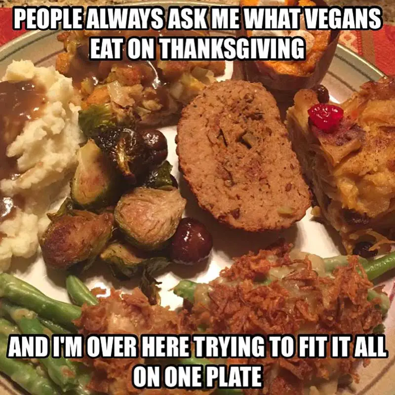 thanksgiving plate meme