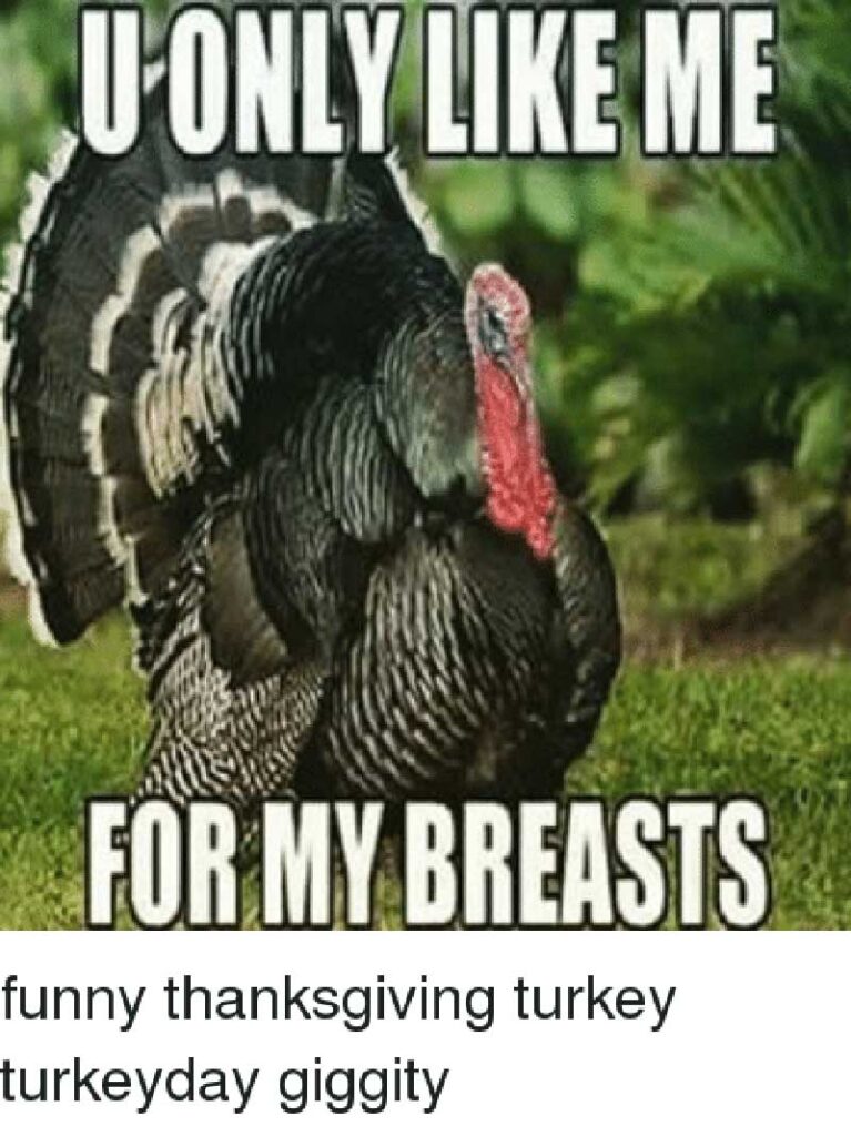 thanksgiving turkey meme
