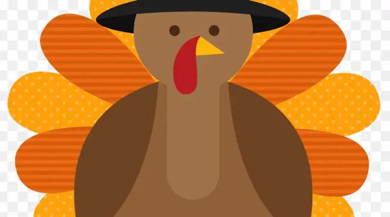 thanksgiving turkey wallpaper