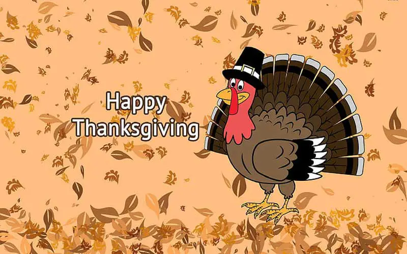 thanksgiving turkey wallpaper