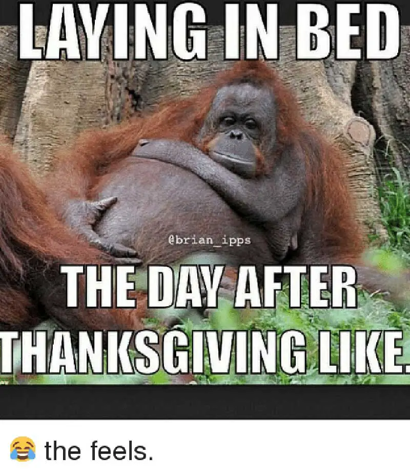 thanksgiving workout memes