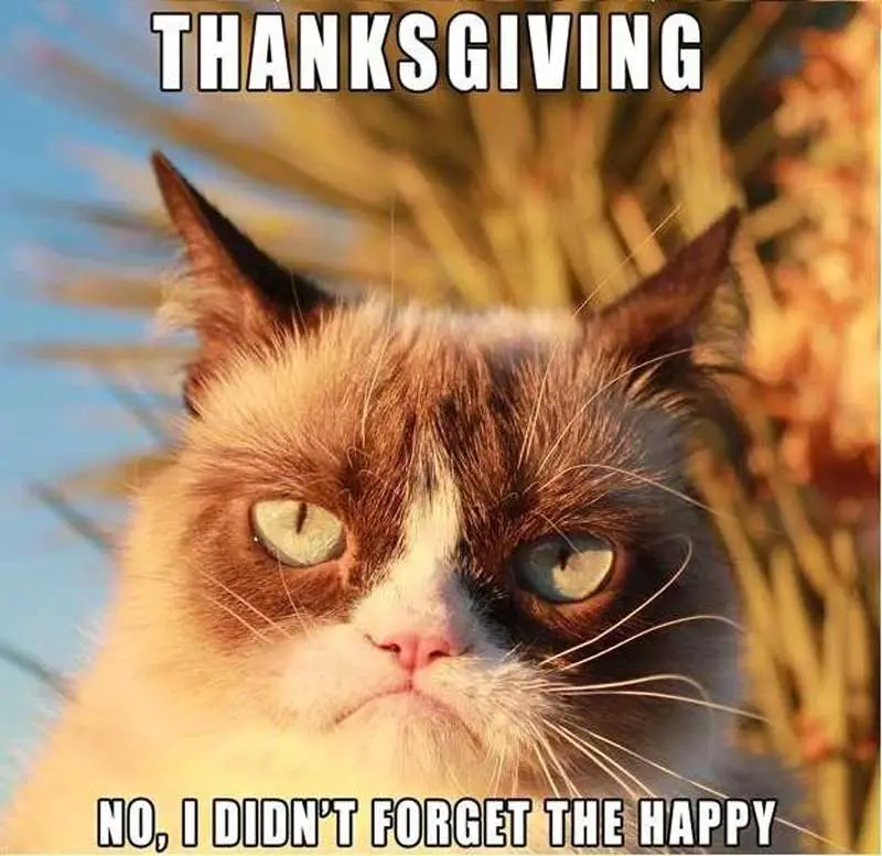 vegan thanksgiving meme