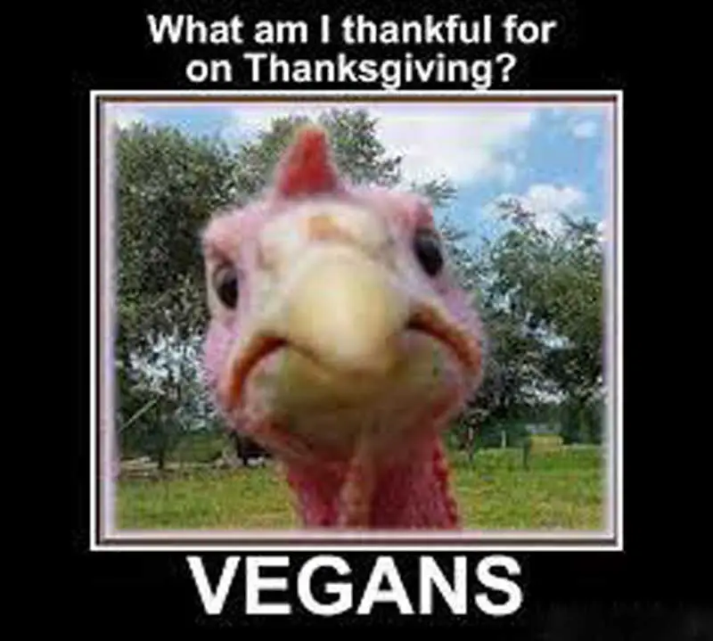 vegan thanksgiving meme