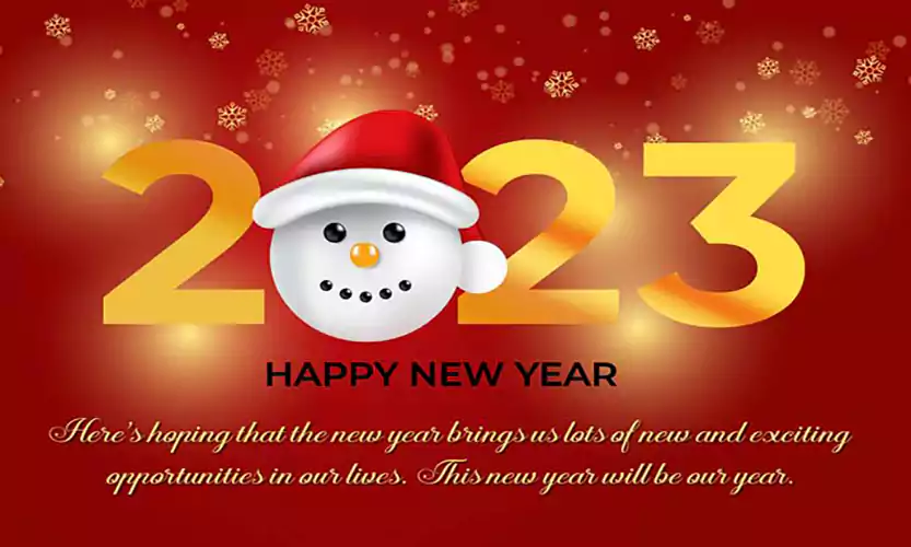 Christmas and Happy New Year Greetings
