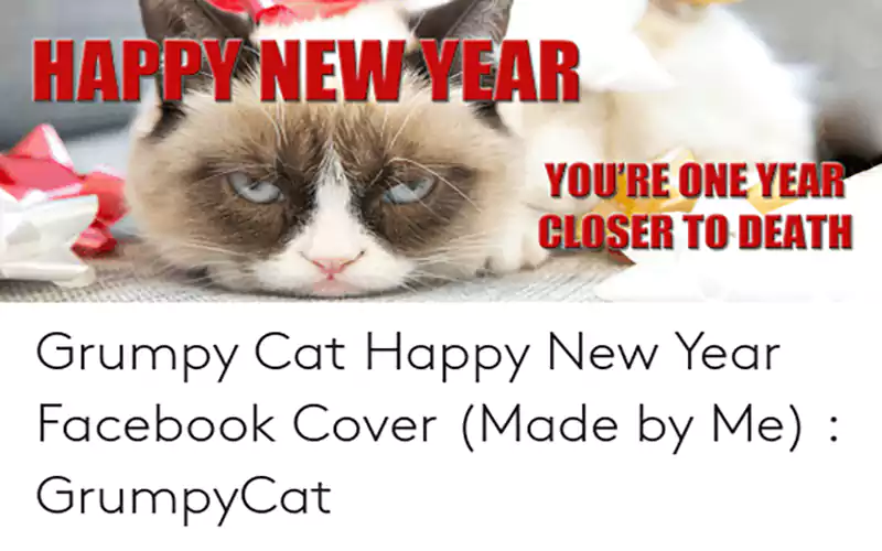 grumpy cat new years meme