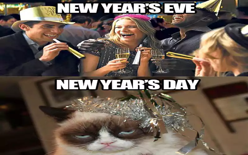 grumpy cat new years meme