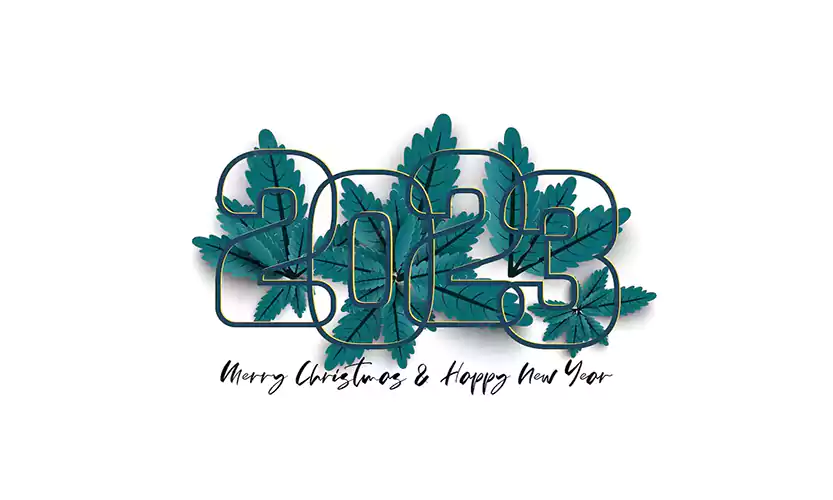 happy new year merry christmas day design number outline group blue leaves white background