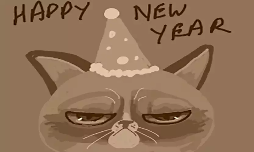 happy new year cat images