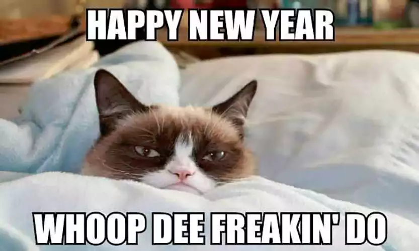 happy new year cat meme