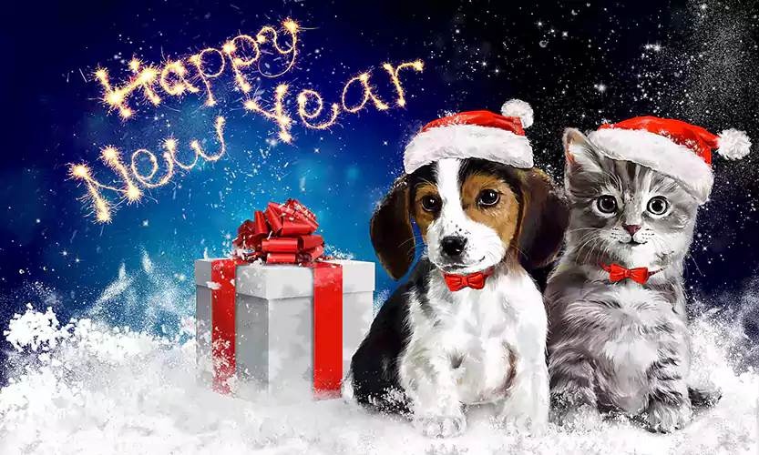 happy new year dog images