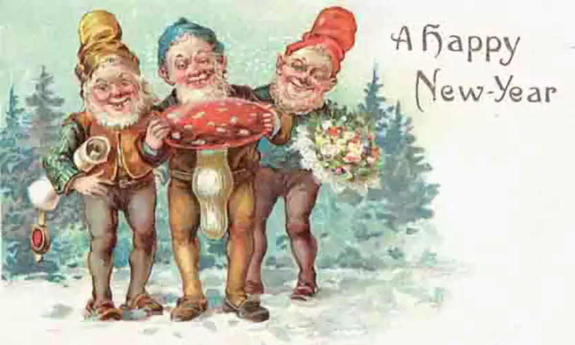happy new year gnomes images