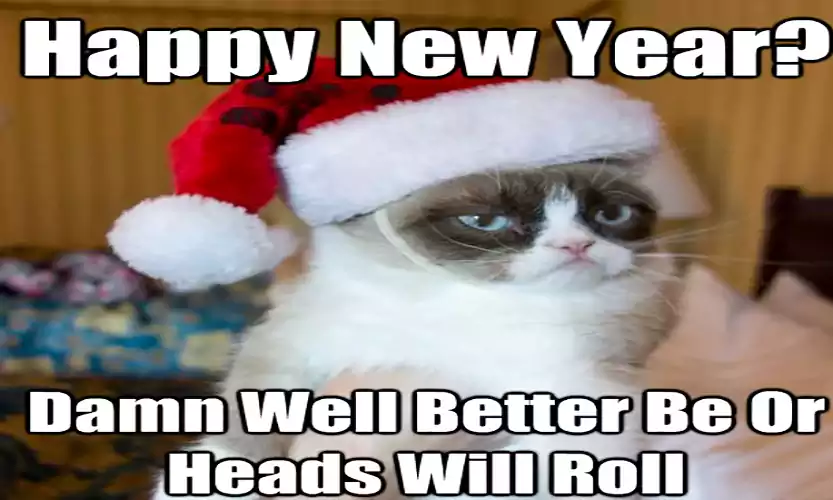 Chinese new year cat meme
