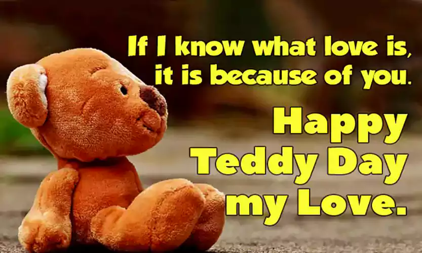 best teddy day quotes for boyfriendhusband