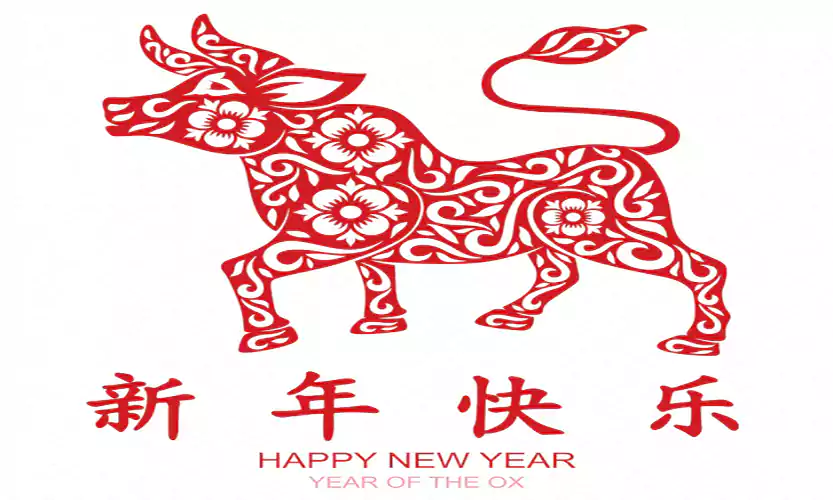 chinese new year ox images