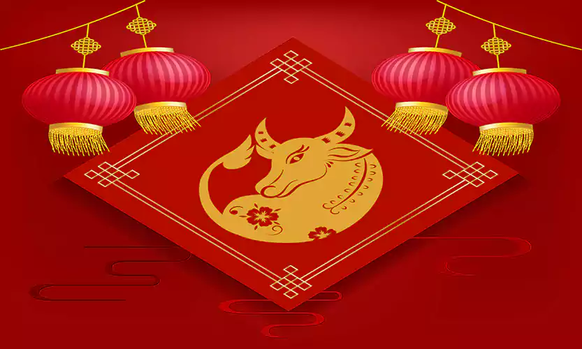 chinese new year ox images