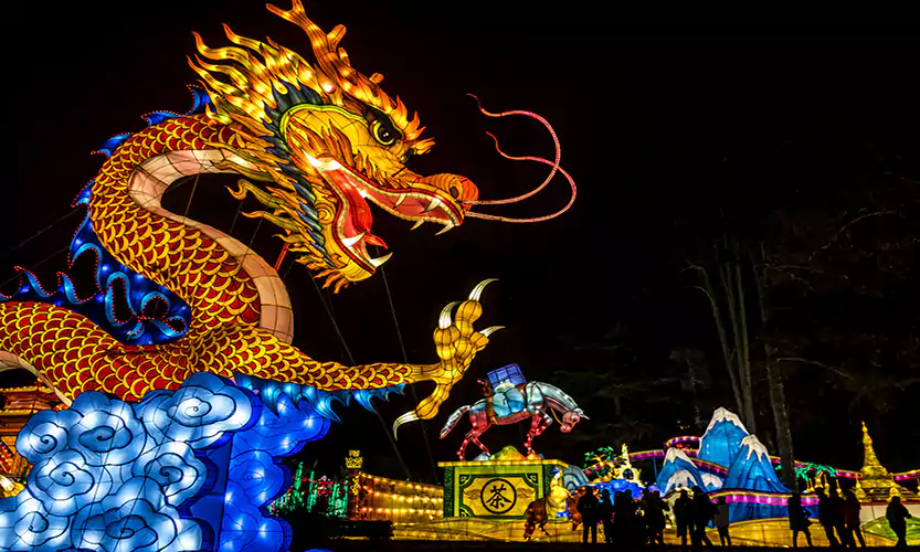 chinese new year dragon images