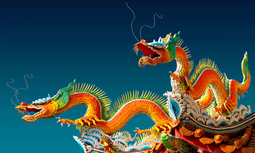 chinese new year dragon images