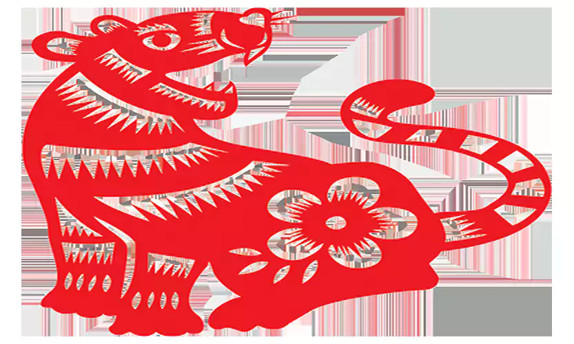 chinese new year tiger image