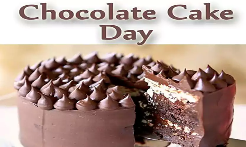 chocolate cake day images