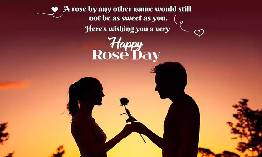 couple rose day wallpaper