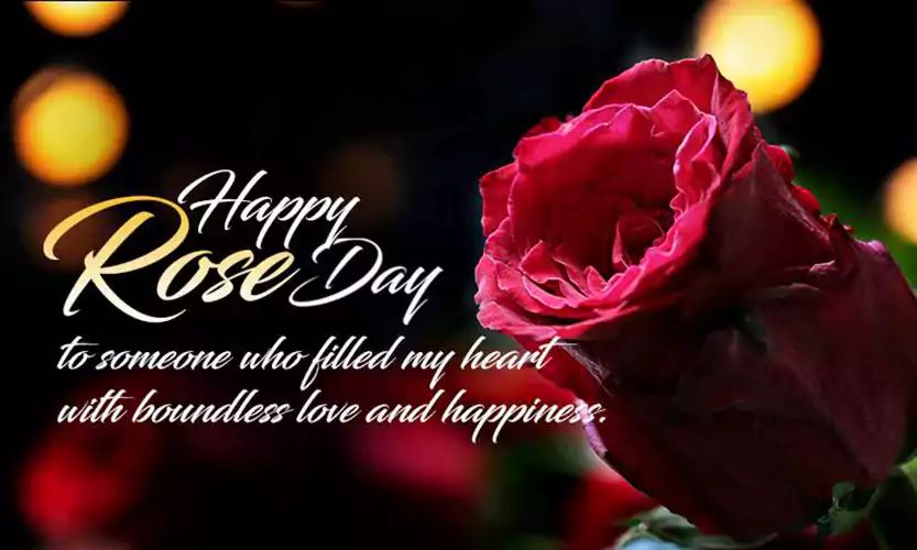 funny rose day quotes for singles