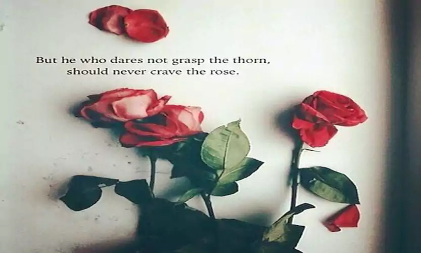 funny rose day quotes for singles