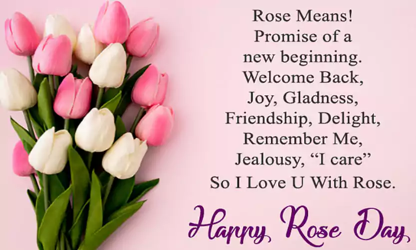 happy rose day greetings