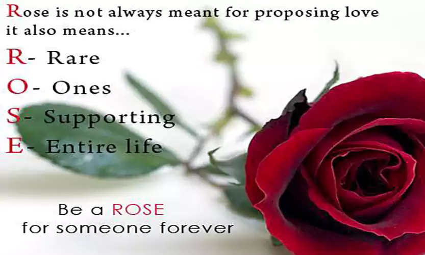 happy rose day quotes for friends