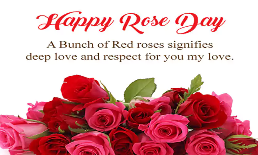 happy rose day quotes for him