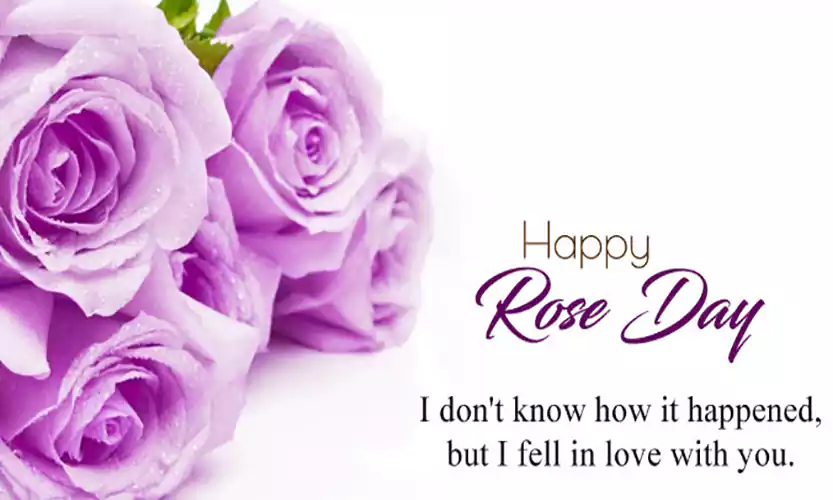 happy rose day quotes for him