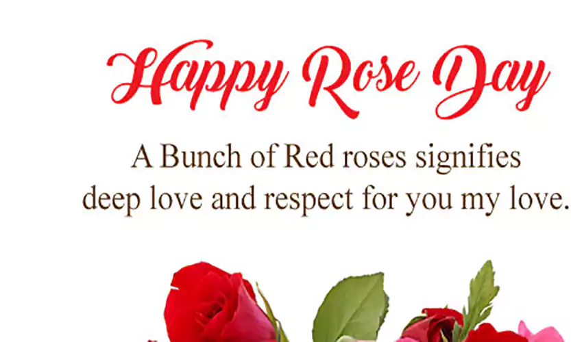 happy rose day quotes for wife
