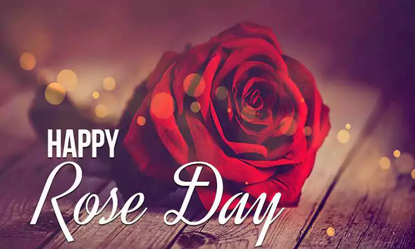 ose day background