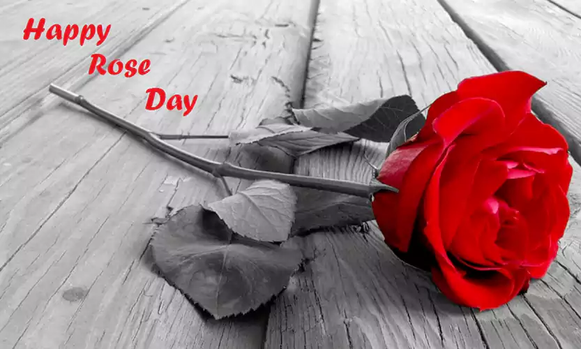 ose day background