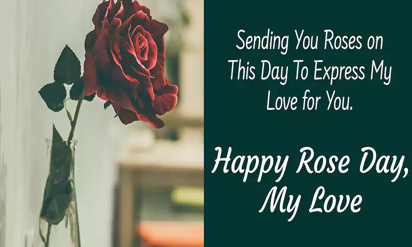 romantic rose day quotes