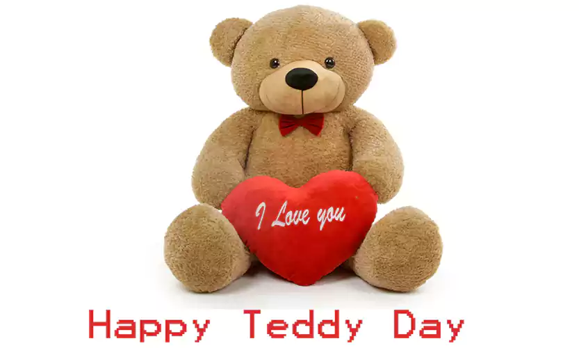 romantic teddy day images