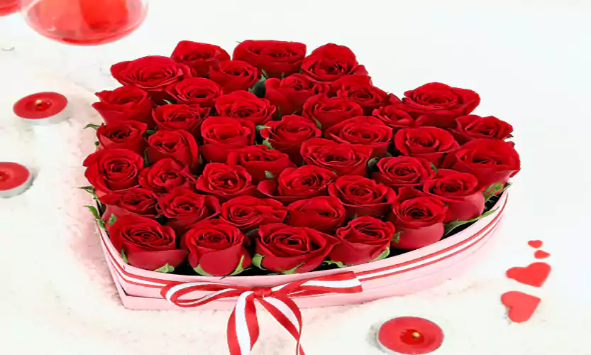 rose day images for friends