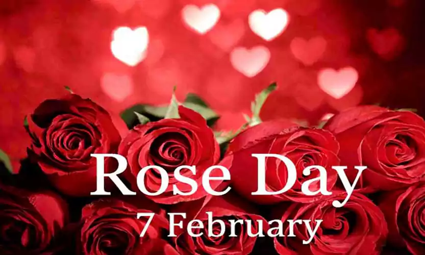 rose day images for mother