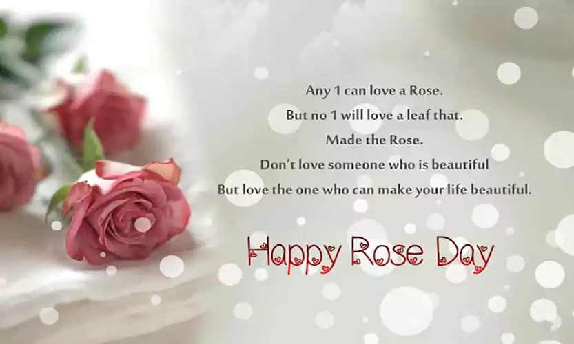 rose day message for wife