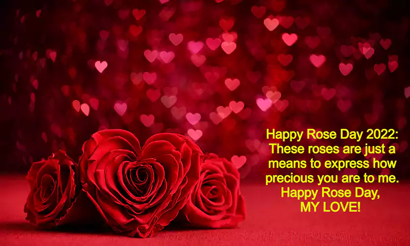 rose day message for wife
