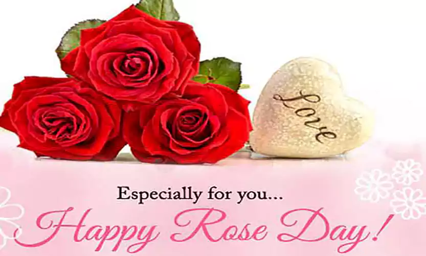 rose day messages for boyfriend