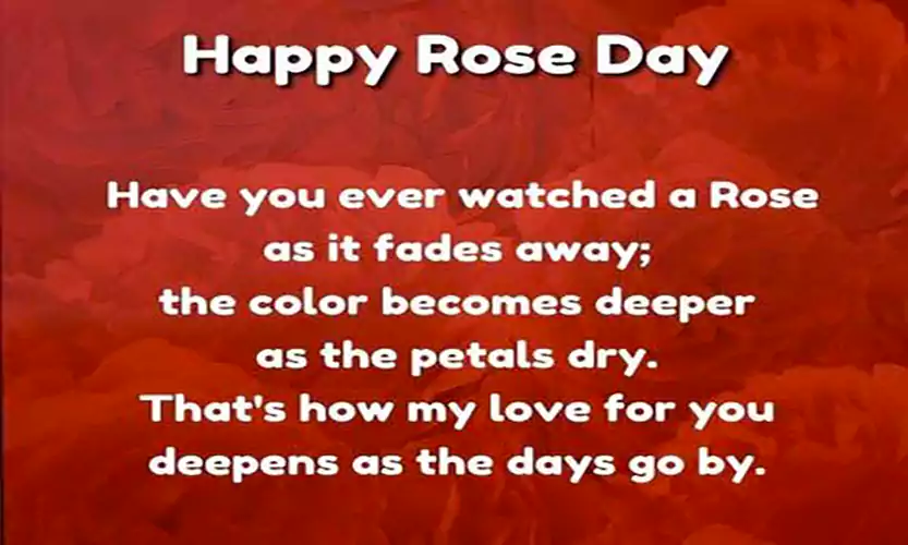 rose day messages for boyfriend