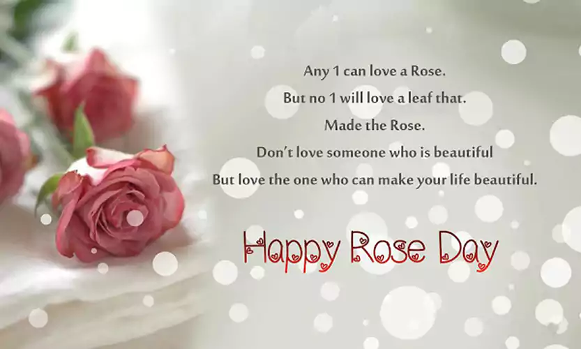 rose day wishes for friends