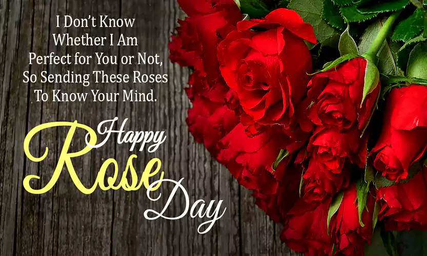 rose day wishes for friends