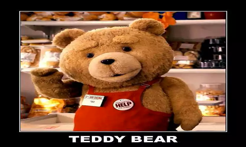 teddy day funny memes